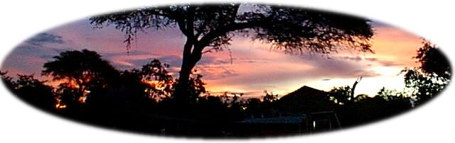 Glorious Savuti sunset,  Chobe