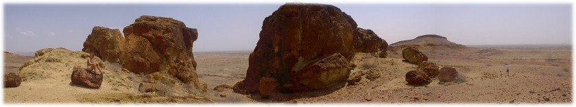 The petrified forest in Sibiloi National Park