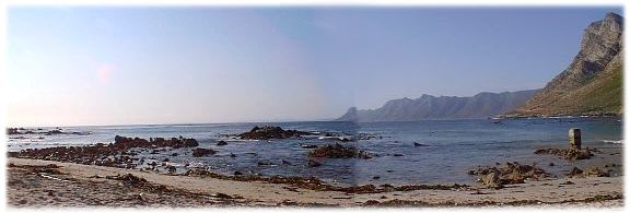 Rooibos - the beach with whales