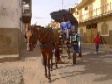 Horse taxi with a flat