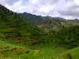 Terraced farming in Kabale area