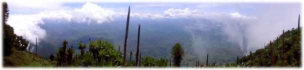 Mount Muhabura - the view from the top