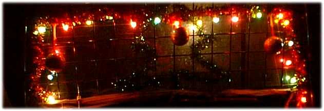 Punda gets all christmasy - with fairy lights and tinsel on the back door